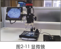 1711093225153781.png 未命名 -20.png